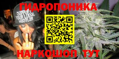 ГАЛЛЮЦИНОГЕННЫЕ ГРИБЫ Конаково